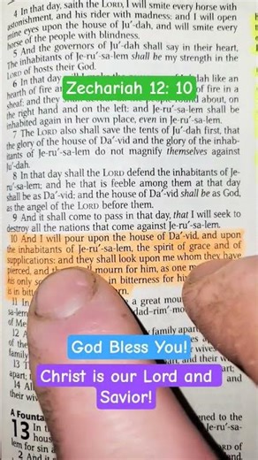 Zechariah 12: 10 - Whom They Have Pierced #christisking