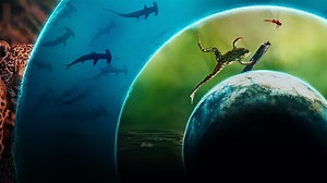 84K views · 650 reactions | discover the secret that connects us all OUR LIVING WORLD, narrated by Cate Blanchett, premieres April 17 | Netflix | Facebook