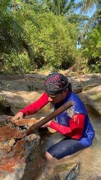 The process of finding gold | finding gold in bedrock fragments | finding gold nuggets worth $2500