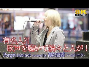 【 歌うま 】有名人?! 歌声を聴いて続々と人が！Forget‐me‐not / 尾崎豊（ covered by 滝沢玻琉-ハルトユウ- ）Kabukicho Street Live 高音質 8K映像