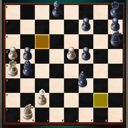 Human vs computer who will win (Chess YT)