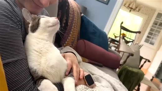 Wobbly Cat Forms Deep Bond With His Devoted Humans and a Fellow Disabled Cat Best Friend