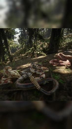 Nouveaux animaux dans Red Dead Redemption 2