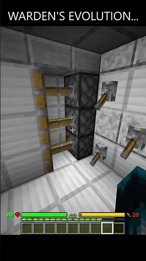 ⚡I EVOLVED THE WARDEN WITH TIME MACHINE IN MINECRAFT! #shorts #epic