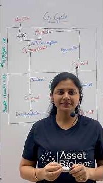 C4 Cycle | Dicarboxylic Acid Cycle | Plant Physiology | Class 11 Biology | NCERT | NEET #neet