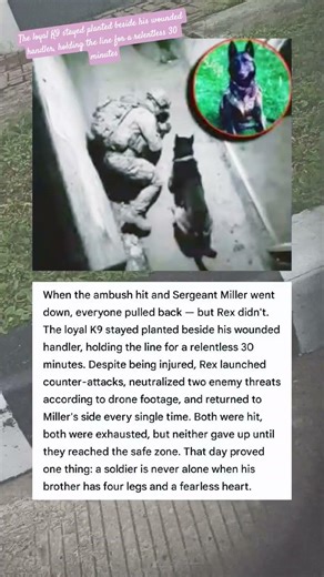 The loyal K9 stayed planted beside his wounded handler, holding the line for a relentless 🐶 #shorts