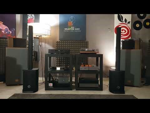 Wharfedele is48 attivi 