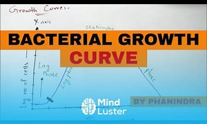 Mind Luster - Learn Bacterial growth curve Explained