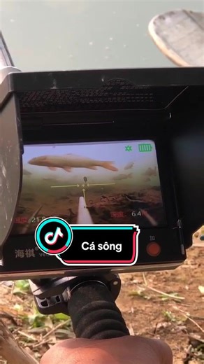 Câu Cá Đỉnh Cao Với Camera Hiện Đại