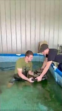 He drove 1000 miles to help me upgrade my pool pond! #Jesus #GrayGang