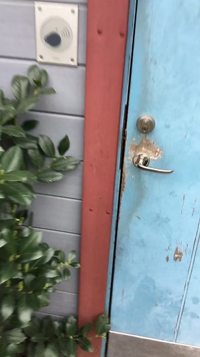 How to Open a Blue Door with Blip: Step-by-Step Tutorial