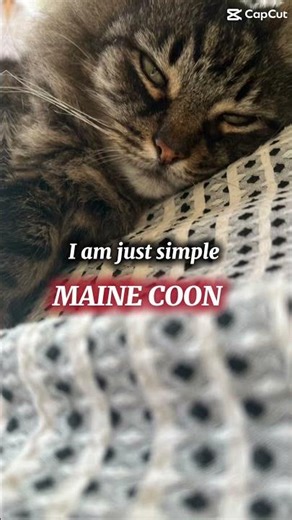 Who knew what breed I am?