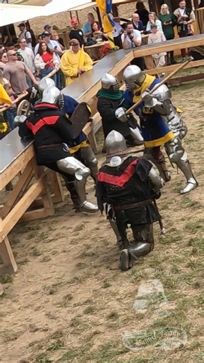 satakunta-vs-gloucester-halberd-counterattack