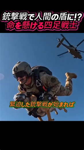 なぜ軍用犬は人間と一緒に空から降下してくるのか？過酷な戦場を駆け抜ける最強の四足戦士たち！