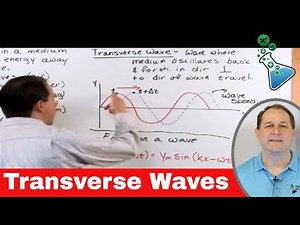 Learn Physics - What are Transverse Waves?