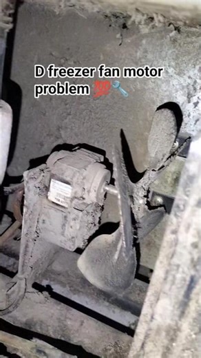 D freezer fan motor problem #cooling #refrigerator #technical #airconditioningrepair #compressor