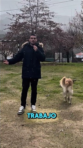 FlowdeX.. nuestro sueño !