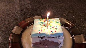 9.8K views · 3.1K reactions | Tesla’s 1st Gotcha Day celebration!  | Titus and His Girl Hailey | Facebook