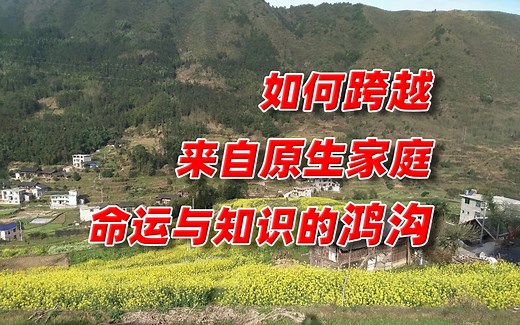 【卢克文工作室】命运的鸿沟