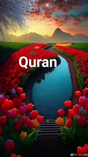 Quran Sharif translation#quran #islamicvideo