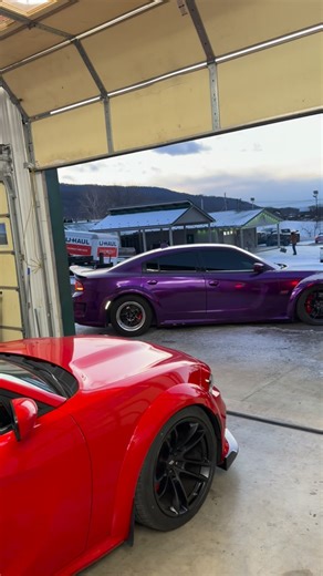 Freedom Motorsports LLC on Instagram: "“New Arrivals coming soon” get ready‼️🐝🔌 #scatpack #charger #mopar #freedommotorsports"