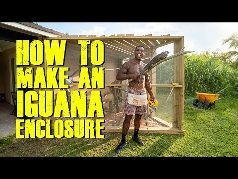 HOW TO BUILD AN IGUANA ENCLOSURE