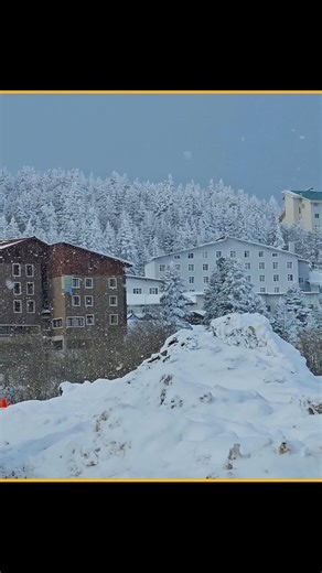 The Year Without Summer! | Facts | #shorts