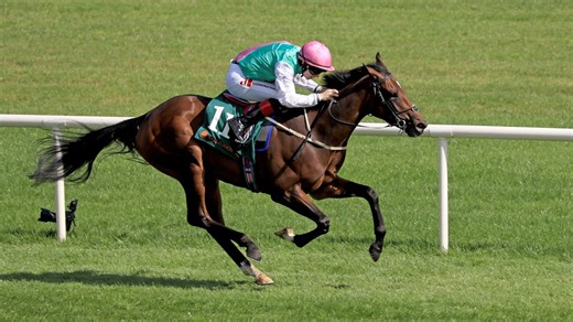 Leopardstown review: Auguste Rodin and Zarinsk impress