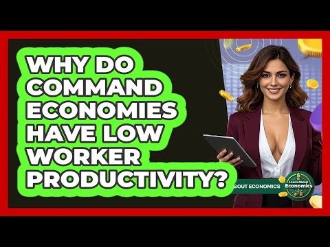 Why Do Command Economies Have Low Worker Productivity? - Learn About Economics