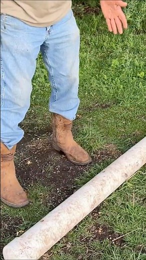 What Is A Pig Pipe? | Texas Hog Hunting Tips