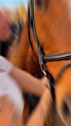 𝒄𝒂𝒓𝒊𝒕𝒐 𝒎𝒖𝒍𝒍𝒆𝒓 🧚🏻‍♀️ on Instagram: "Entre caballos, entrenamientos y días larguísimos… mi ropa sigue oliendo increíble 🐴🌸💘 El secreto: Zorro Evolution 💋 ✨ Perfume que dura hasta 96 horas 🤩 Botellón de 3 litros que rinde un montón Con zorro… FUNCIONA 😋 #ZorroFunciona #ZorroEvolution #FrescuraDuradera"