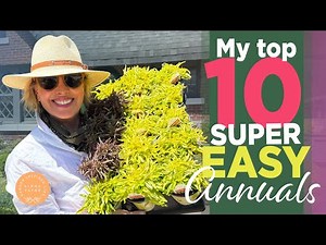 10 SUPER EASY FLOWERS For a Spectacular Garden 🌱💐