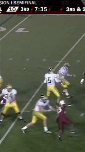 Joe Flacco highlights from Delaware's 2007 FCS playoff run 🐦 #shorts