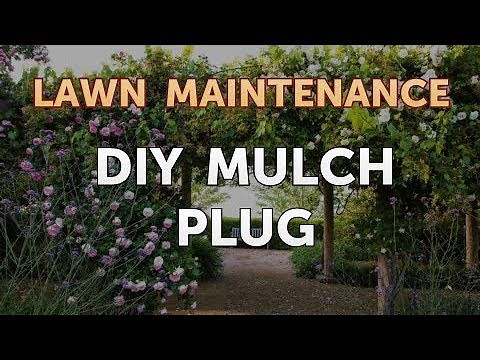 DIY Mulch Plug