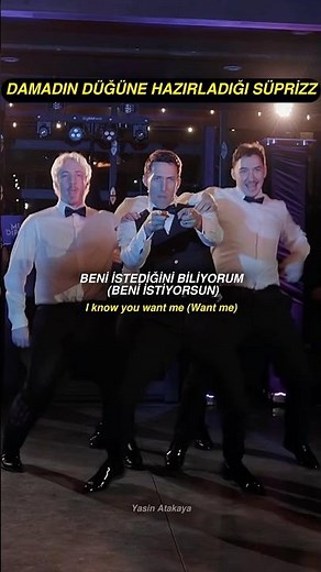 Pitbull I Know You Want Me (Calle Ocho) lyrics wedding suprice