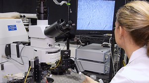 Visualizing Astrocyte Morphology Using Lucifer Yellow Iontophoresis