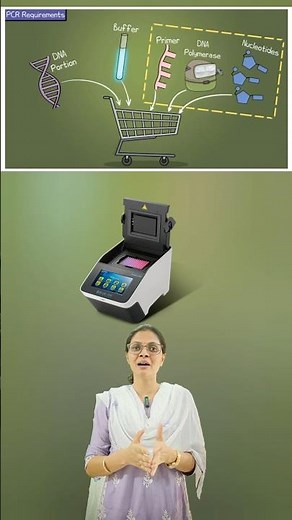 Polymerase chain reaction (pcr) animation #shorts #neet