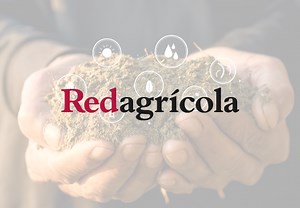 Lo básico para entender el biogás