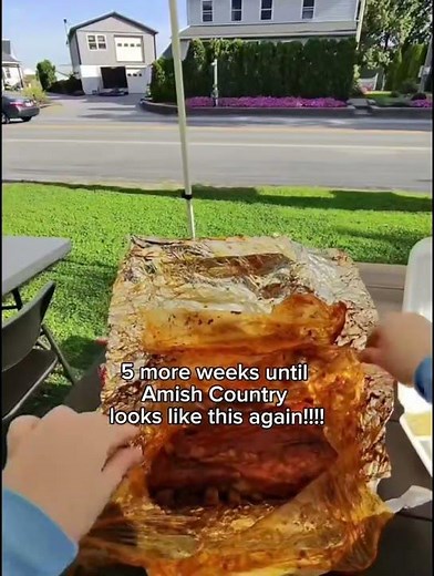 Counting Down to Spring in Amish Country