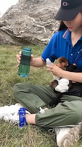 Mommy feeding milk her baby monkey | Baby Monkeys