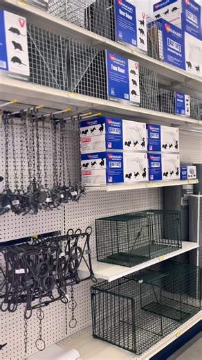 We did a little upgrading… okay, a BIG one 👀 Our fencing & trapping section got a fresh refresh and it’s fully stocked with everything you need to protect your property, animals, and peace of mind 💪 ✔️ Fencing for farm, garden & pasture ✔️ Live animal traps & easy-set options ✔️ Hardware cloth, rolls & accessories ✔️ One stop. Done right. If critters or broken fences are on your to-do list, we’ve got you covered. Come check it out! | Pettigrew Feed & Hardware Inc.