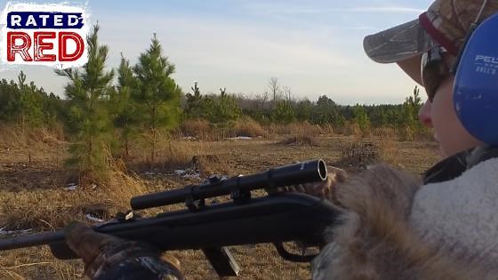 Top 5 Targets to Make Plinking Fun and Challenging