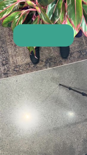 Understanding Terramation: Your Questions Answered