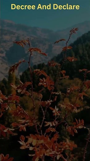 Declare Your New Name | Prophetic Prayers & Faith Declarations 💫