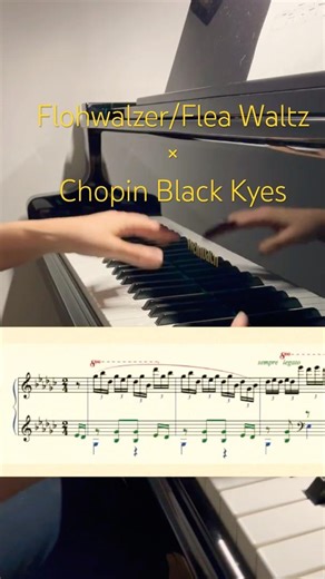 Der Flohwalzer(Flea Waltz) × Chopin Black Keys #piano #composition