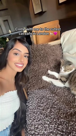 Come with me to the cutest cat cafe in London @Java Whiskers 🩷 This was the most relaxing, calming and fun solo date in London they have 2 locations too!! Can’t wait to be back 🥺 #catcafelondon @Joli #londonthingstodo #thingstodoinlondon #londonactivities #ukugccreators #catcafe
