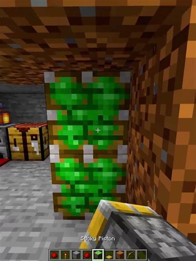 Minecraft Arrow Door💀