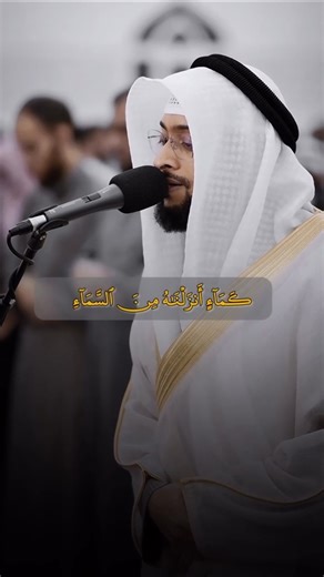 احمد النفيس - سورة الكهف #احمد_النفيس