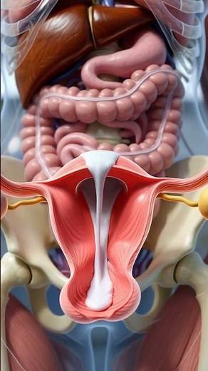 Periods & Ovulation Guide #anatomy #bioscope #sciencevideo #humanbiology #educationalvideo