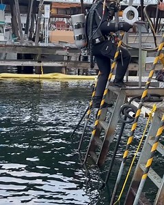 19 reactions | Divers Institute of Technology on Reels | Facebook